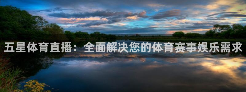 五星体育直播：全面解决您的体育赛事娱乐需求