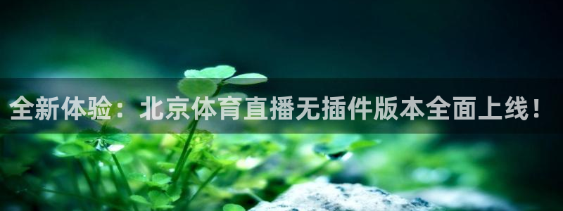 全新体验：北京体育直播无插件版本全面上线！