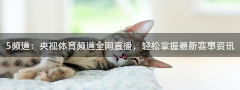 5频道：央视体育频道全网直播，轻松掌握最新赛事资讯