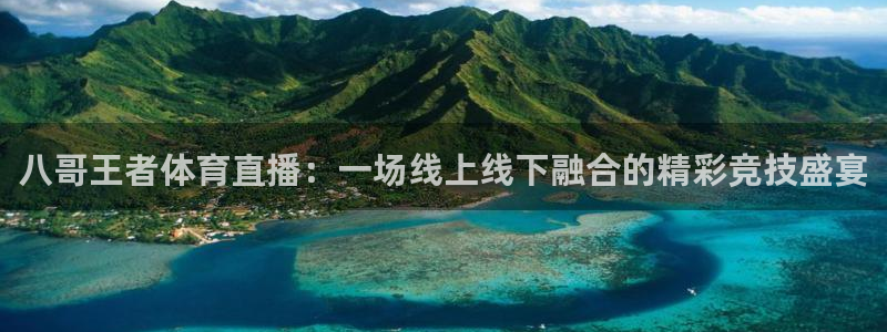 八哥王者体育直播：一场线上线下融合的精彩竞技盛宴